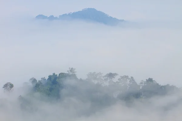 Mar de nevoeiro com florestas como primeiro plano — Fotografia de Stock