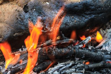 şenlik ateşi ile turuncu alevler ve yakacak odun