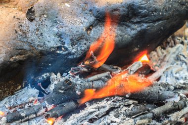 şenlik ateşi ile turuncu alevler ve yakacak odun