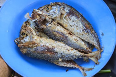 Fried Mackerels bir plaka üzerinde