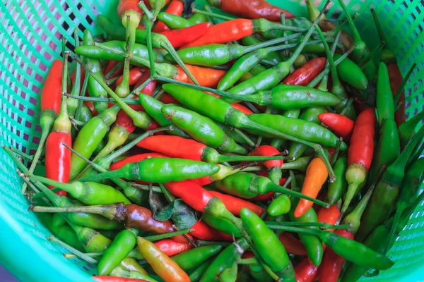 Chili peppers closeup — Stock Photo, Image