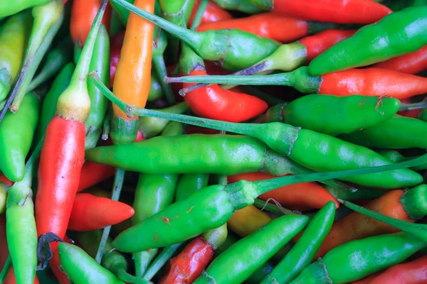 Chili peppers closeup — Stock Photo, Image