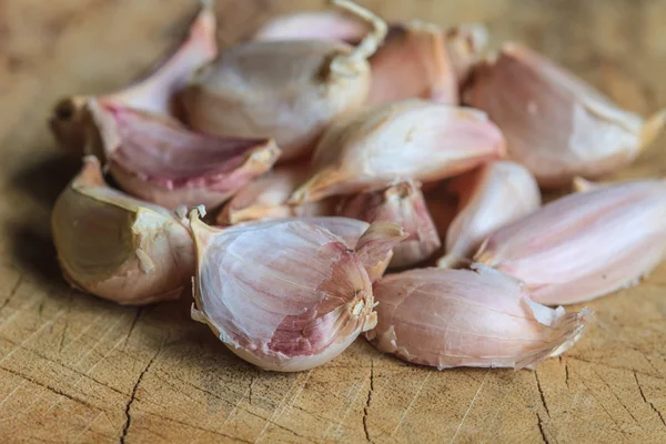 Common Garlic, Allium ,Garlic — Stock Photo, Image