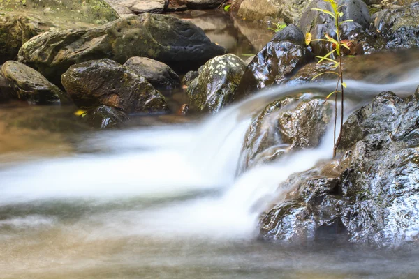 Cachoeira e rochas cobertas de musgo — Fotografia de Stock