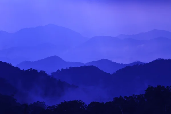 Sötét álmodozó erdő köd — Stock Fotó