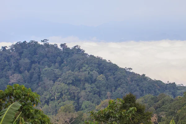 Niebla y nube montaña valle paisaje —  Fotos de Stock