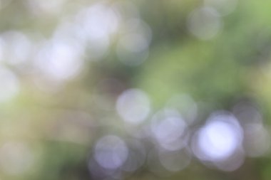 bokeh arka plan bulanıklık