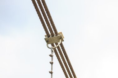 Askı köprü portre