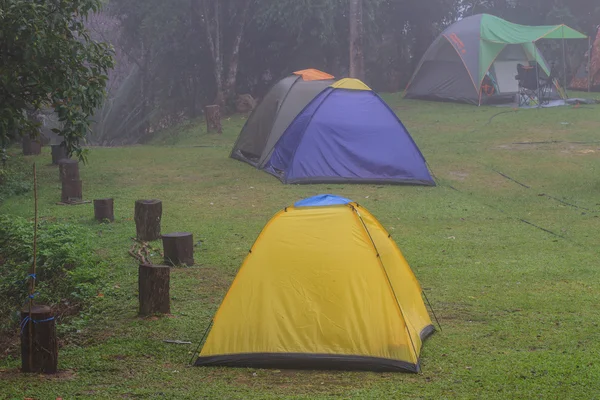 Camping por la mañana —  Fotos de Stock