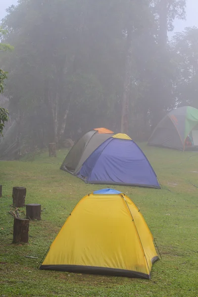 Camping in de ochtend — Stockfoto