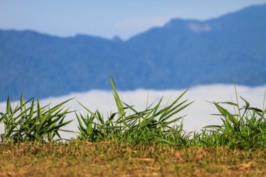 Sis ve bulut dağ vadisi manzarası