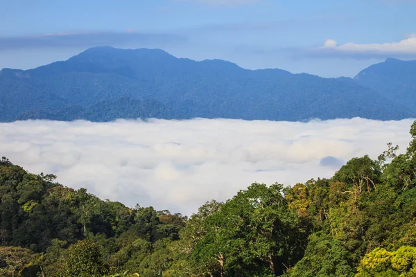 Fog and cloud mountain valley landscape — Stock Photo, Image