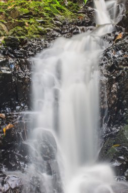 şelale ve yosun kaplı kaya