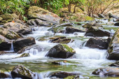 şelale ve yosun kaplı kaya
