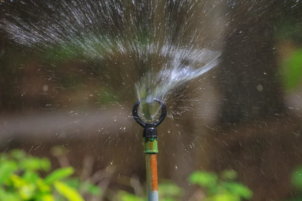 Irrigation des champs agricoles — Photo