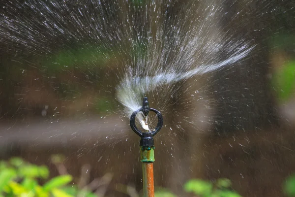 Irrigation des champs agricoles — Photo