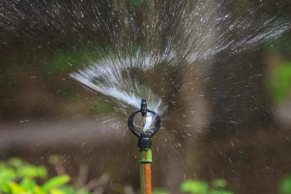 Irrigation des champs agricoles — Photo