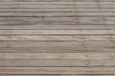 Ormanda tahta köprü