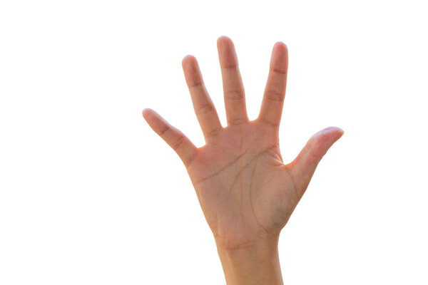 woman hands on white background