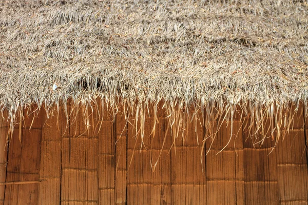 Bamboe Hut ligt op de hil — Stockfoto