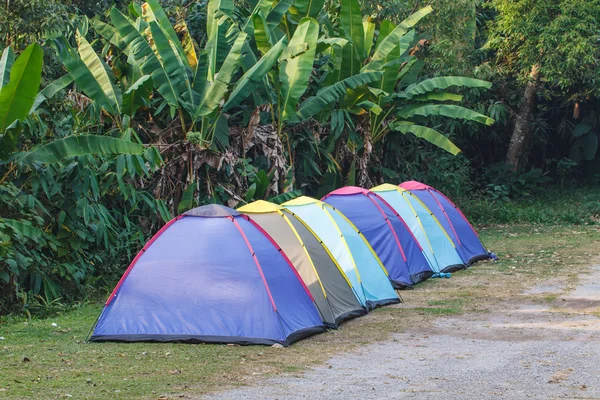 朝のキャンプ場でテント — ストック写真