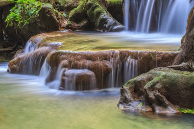 Tropikal ormanda şelale 