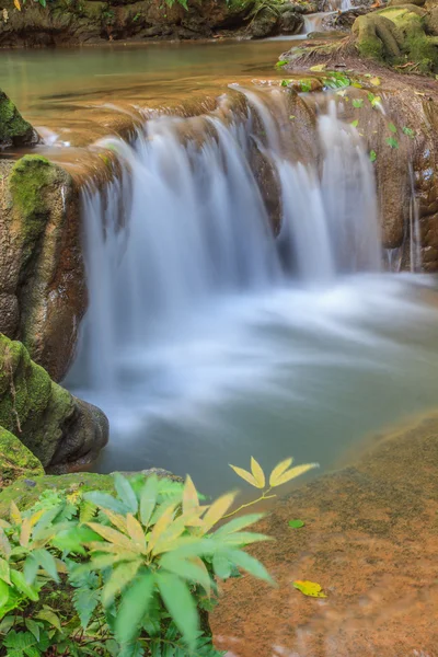 Waterval in het tropische bos — Stockfoto