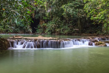 Tropikal ormanda şelale 