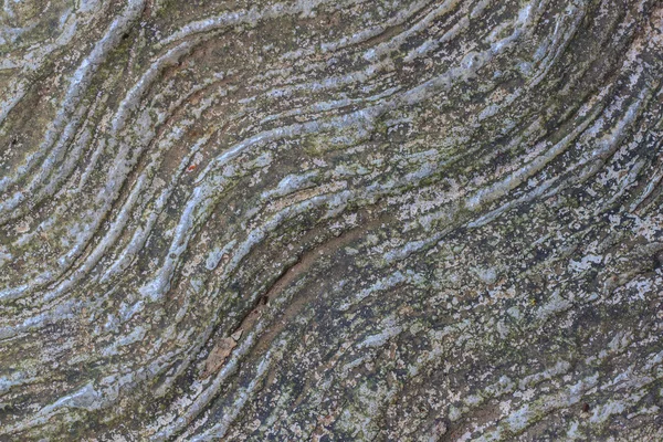 Detalhes da textura de pedra — Fotografia de Stock