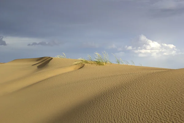 砂丘。モンゴル国ゴビ砂漠. — ストック写真