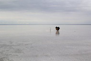 Fotoğrafçı bir fotoğraf çeker. Tuz Gölü Elton, Rusya Federasyonu