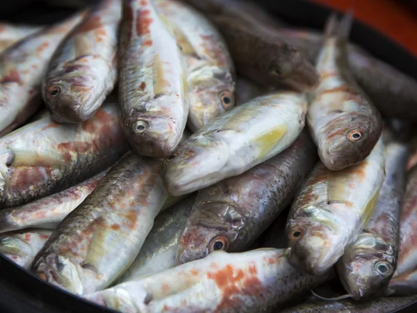 Raw fish, surmullet - Crimean delicacy — Stock Photo, Image