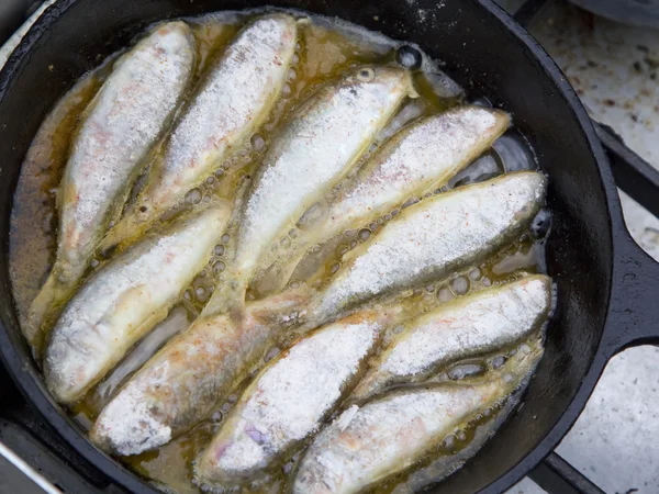 Fish surmullet in the cooking process — Stock Photo, Image