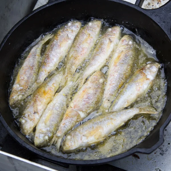 Fish surmullet in the cooking process — Stock Photo, Image