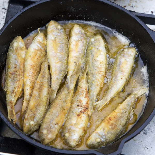 Fish surmullet in the cooking process — Stock Photo, Image