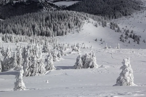 Zimowy krajobraz las - wzgórza w pogodny dzień — Zdjęcie stockowe