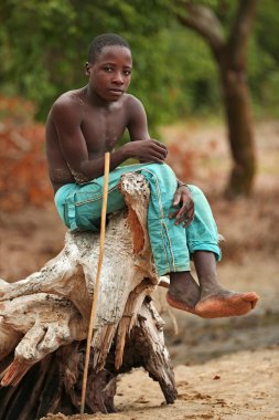Afrika balıkçı