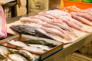 Balık pazarı, çeşitli balık