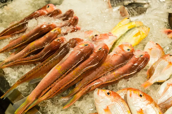 Diverse vis op de vismarkt — Stockfoto