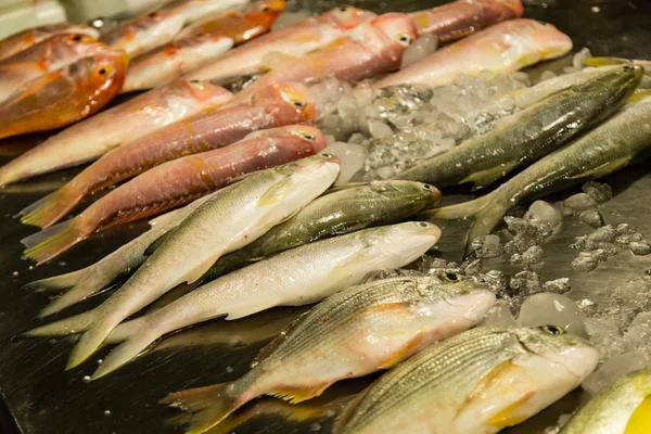 Pesce al mercato del pesce fresco — Foto Stock