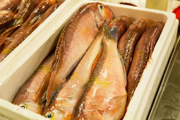 Рыба на рынке свежей рыбы — стоковое фото