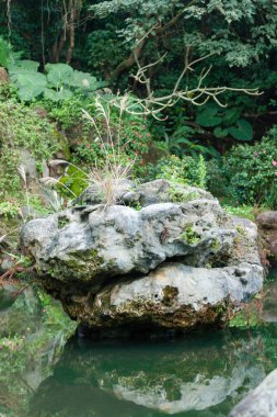 Guan Dao Guan Ying Tapınağı, New Taipei City 'deki bahçelerde su var.