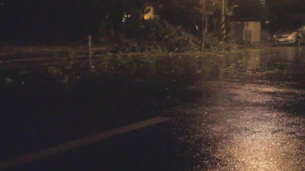 Heavy rain and strong wind during a typhoon — Stock Video