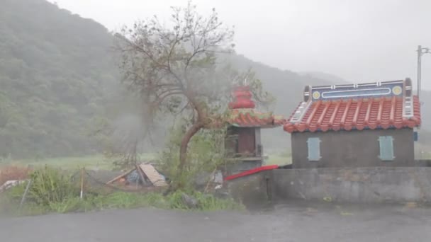 Fuertes lluvias y fuertes vientos durante un tifón — Vídeo de stock
