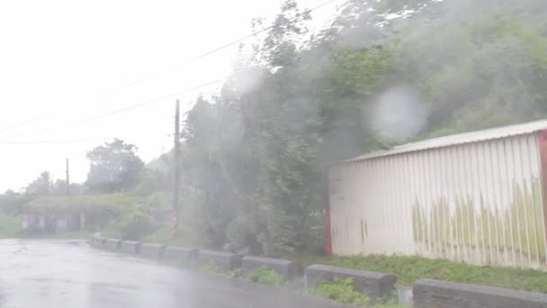 Сильний дощ і сильний вітер під час тайфуну — стокове відео