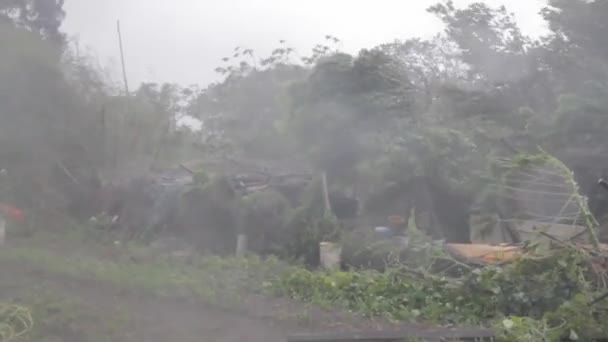 Fuertes lluvias y fuertes vientos durante un tifón — Vídeos de Stock