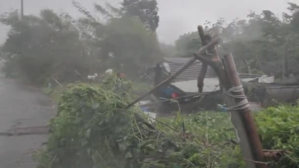 Δυνατή βροχή και ισχυρό άνεμο κατά τη διάρκεια ενός τυφώνα — Αρχείο Βίντεο