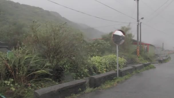 Сильный дождь и сильный ветер во время тайфуна — стоковое видео