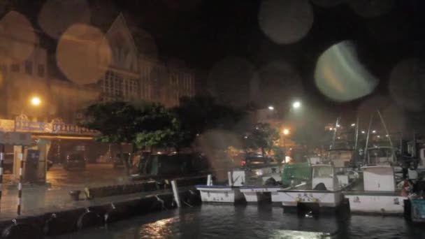 Heavy rain and strong wind during a typhoon — Stock Video