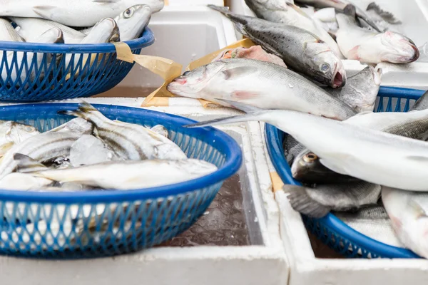 Raw fish at traditional market in Taiwan